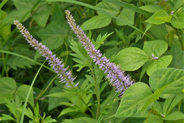 P1230001.JPG