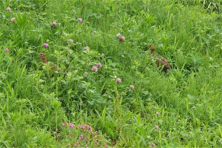 P1230063.JPG