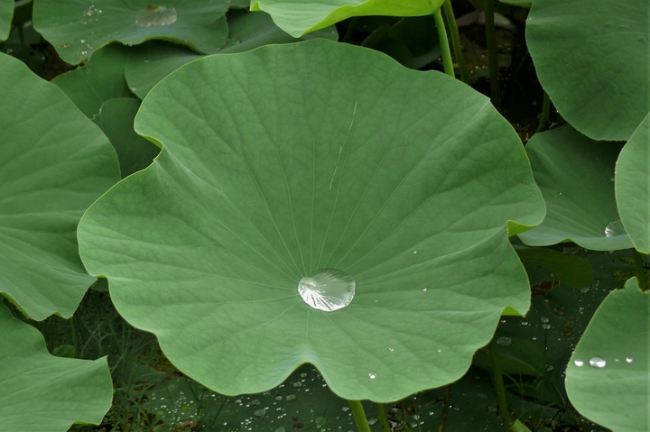P1230100.JPG