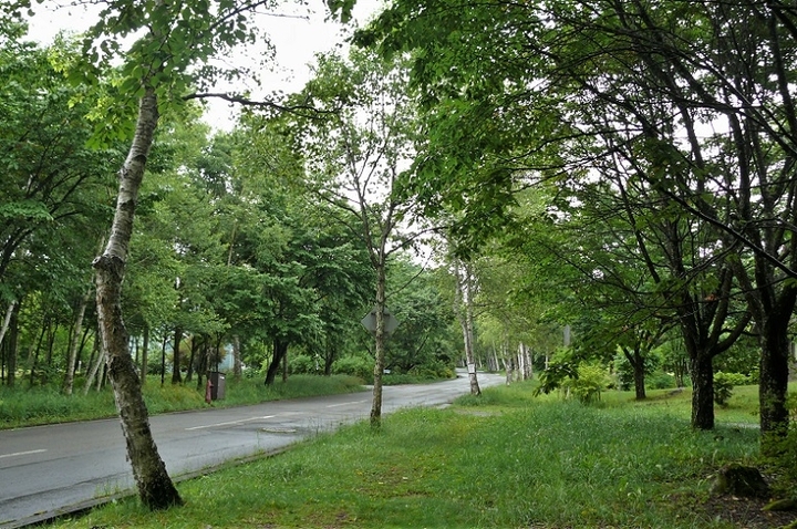 P1230130.JPG