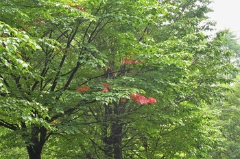 P1230137.JPG
