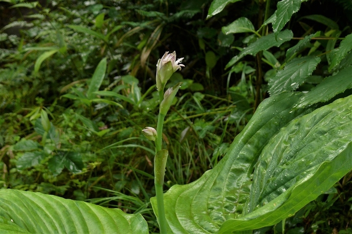 P1230170.JPG