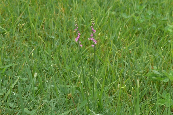 P1230204.JPG