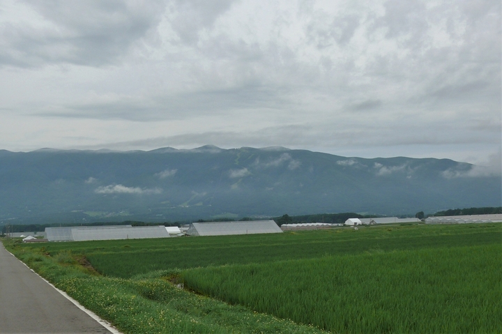 P1230250.JPG
