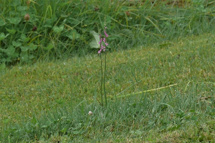 P1230258.JPG