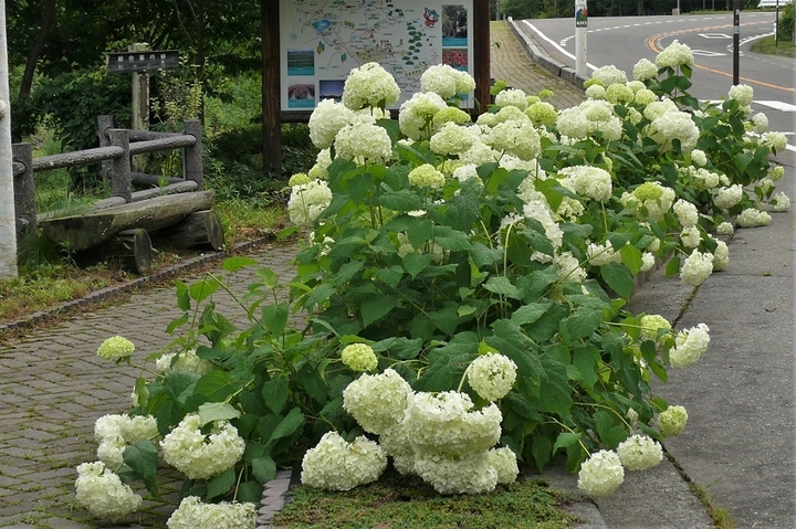P1230260.JPG