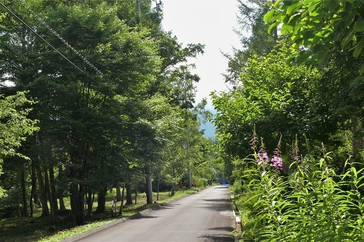 P1230329.JPG