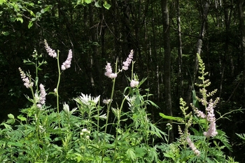 P1230331.JPG