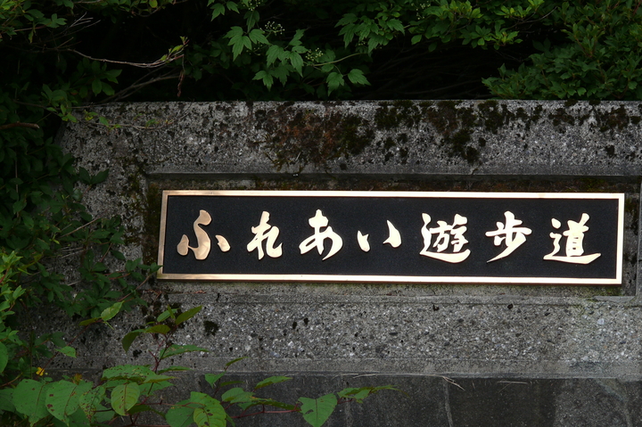 P1230421.JPG