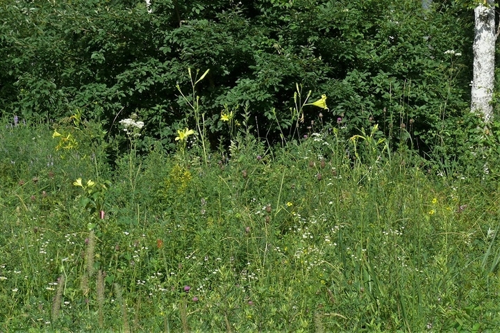 P1230436.JPG