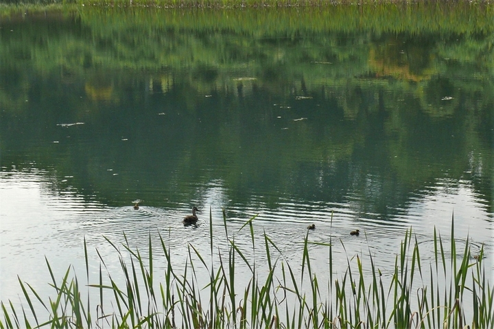 P1230441.JPG