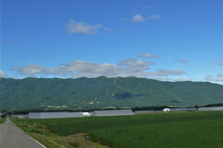 P1230523.JPG