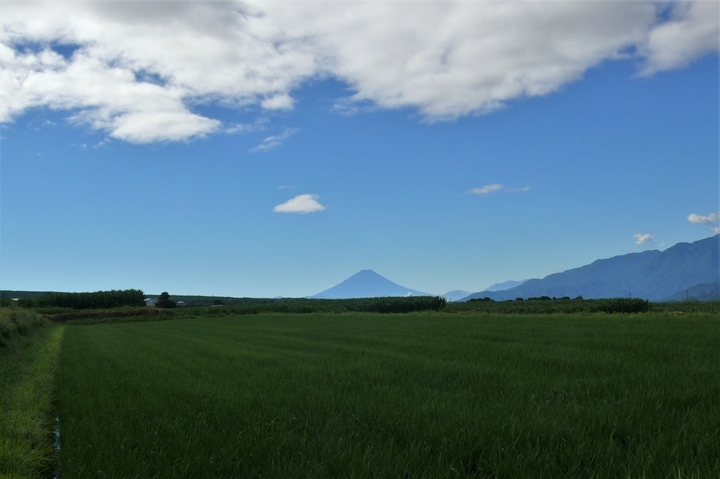 P1230524.JPG