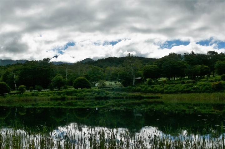 P1230525.JPG