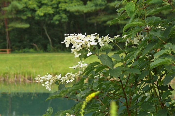 P1230540.JPG