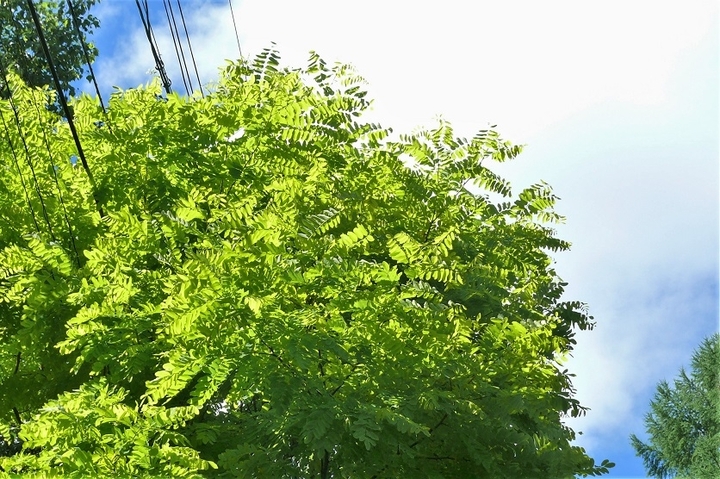 P1230550.JPG