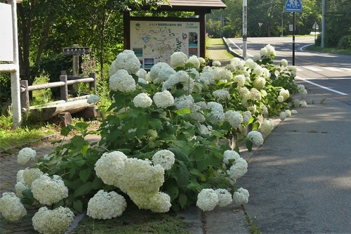 P1230676.JPG