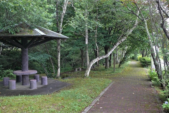 P1230401.JPG