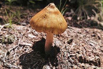 DSC_2951.JPG