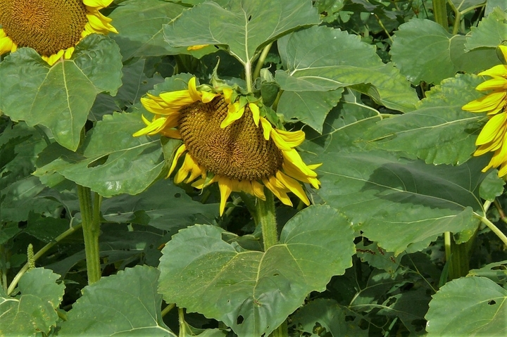 P1240010.JPG