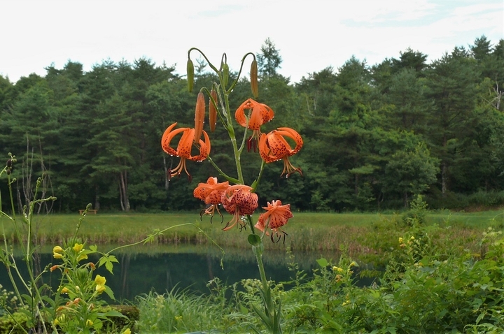 P1240029.JPG