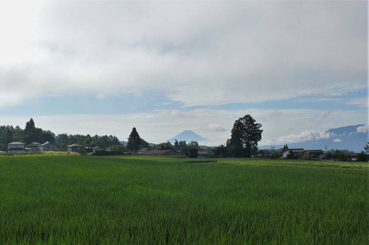 P1240055.JPG