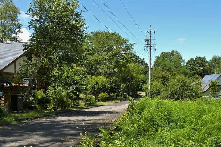 P1240091.JPG