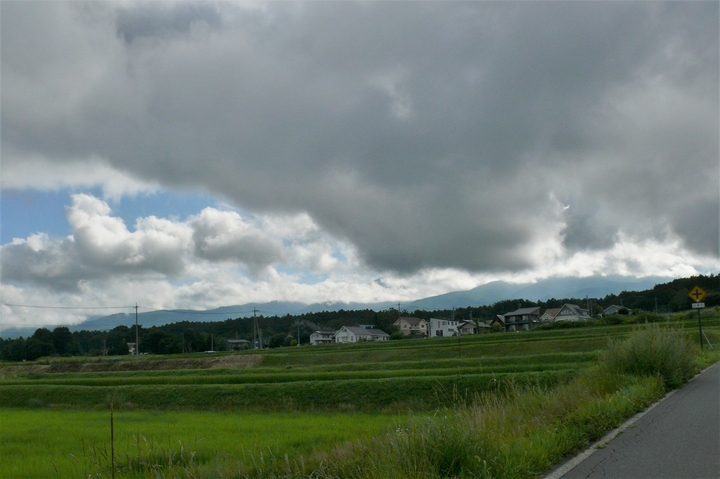 P1240113.JPG