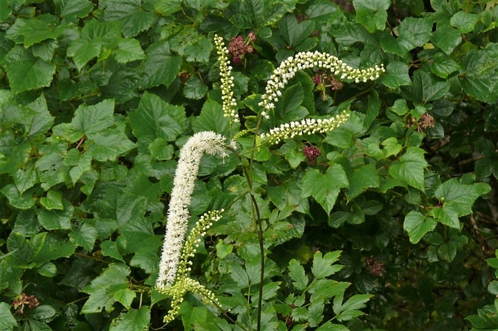 P1250163.JPG