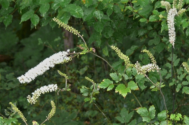 P1250164.JPG