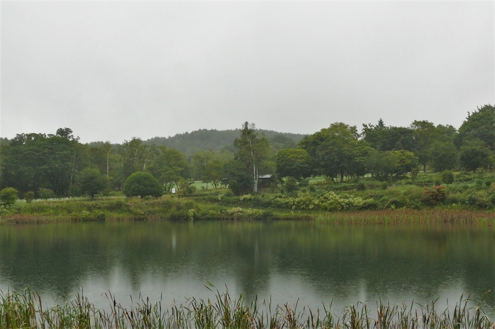 P1250167.JPG