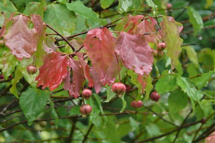 P1250187.JPG