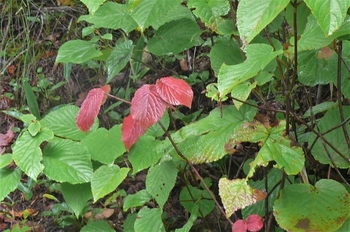 P1250172.JPG