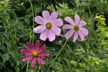 P1250213.JPG