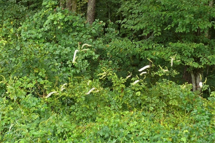 P1250162.JPG