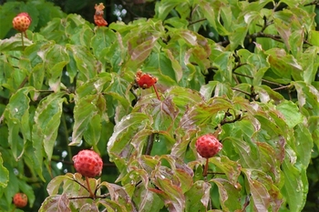 P1250180.JPG