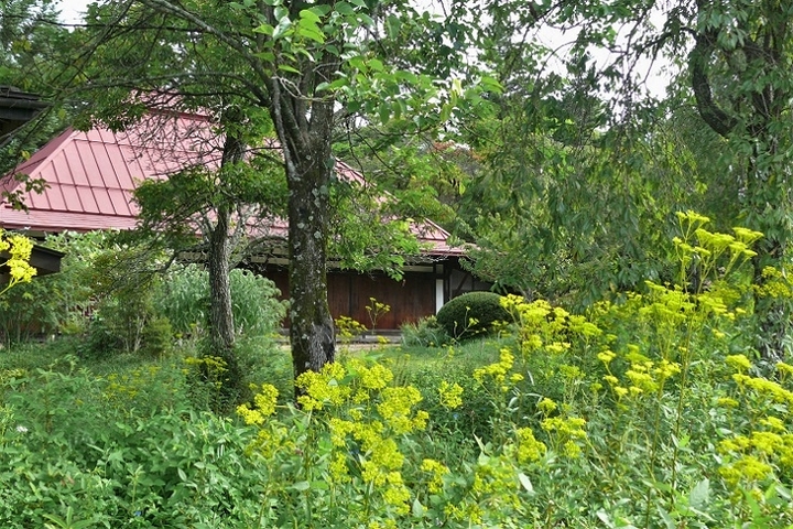 P1240977.JPG
