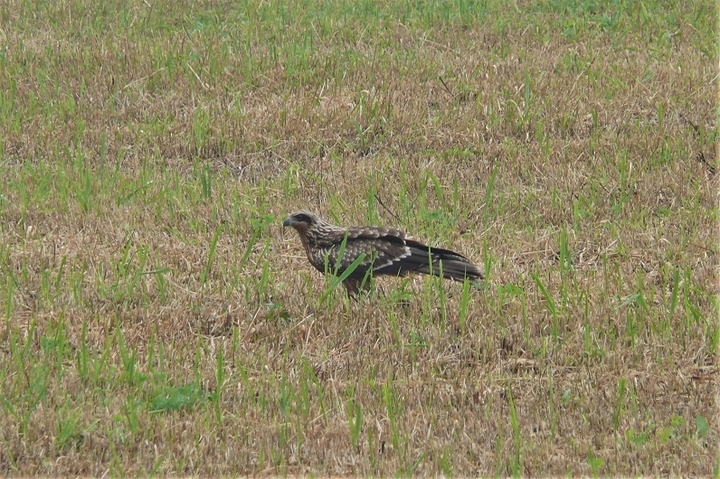 P1250027.JPG