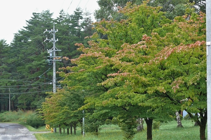 P1250034.JPG