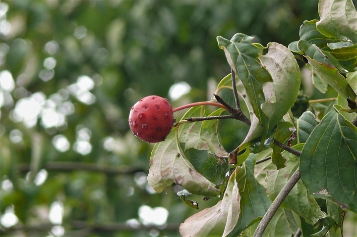 P1250037.JPG