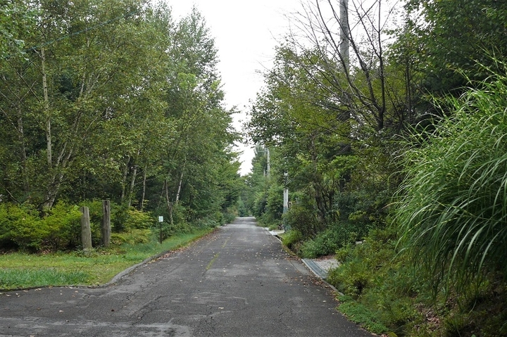 P1250040.JPG