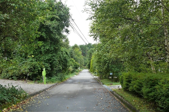 P1250044.JPG