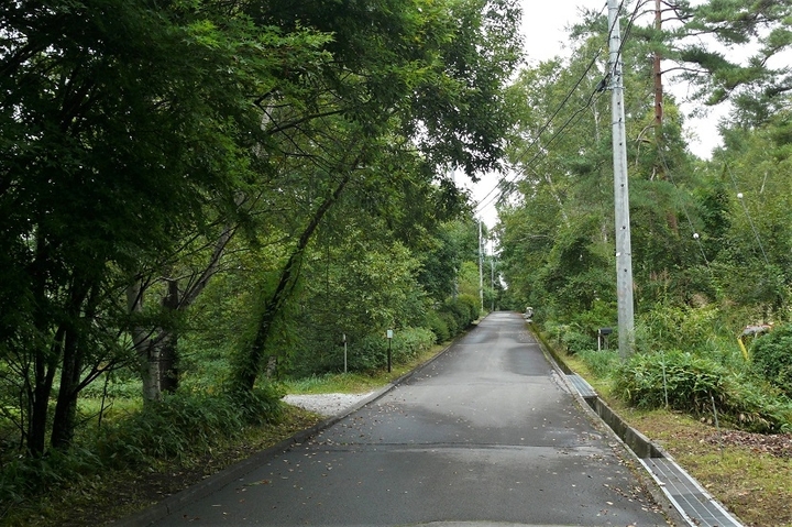 P1250051.JPG