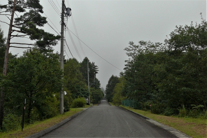 P1250055.JPG
