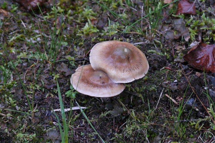 P1250058.JPG