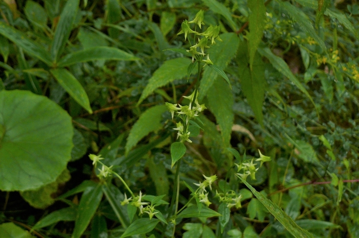 P1250060.JPG