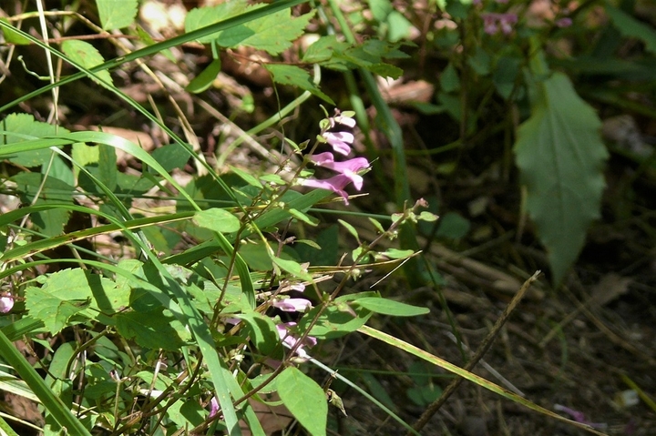 P1250086.JPG