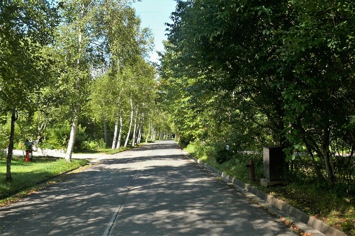 P1250096.JPG