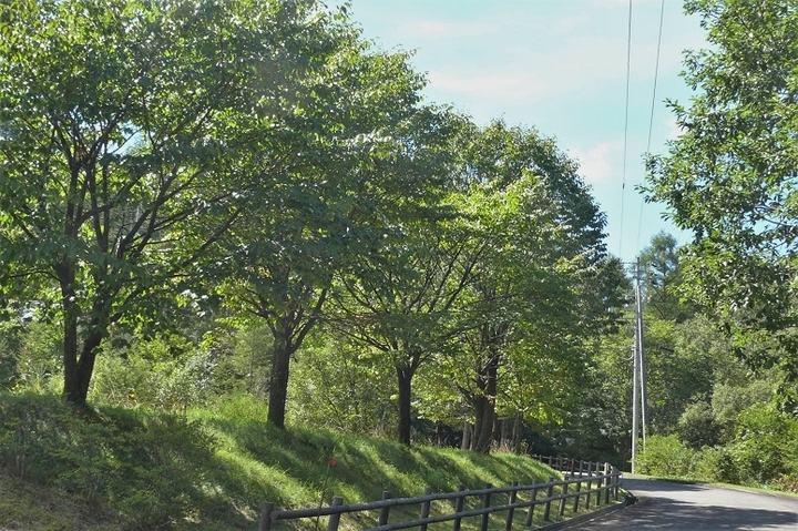 P1250119.JPG