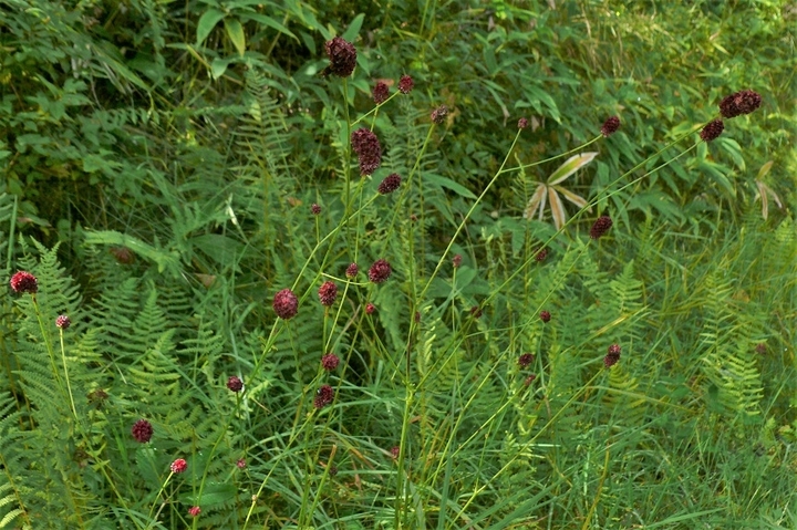 P1250127.JPG